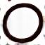 Oura Ring logo